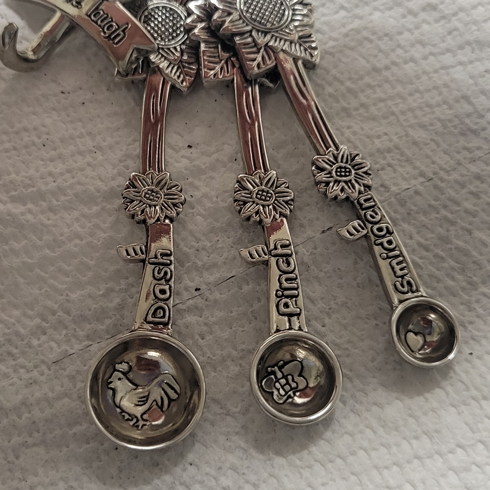 GANZ Vintage Silver Measuring Spoons Set
